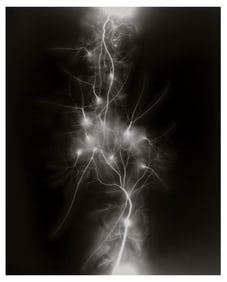 Hiroshi Sugimoto, Lightning Fields-011, 2007