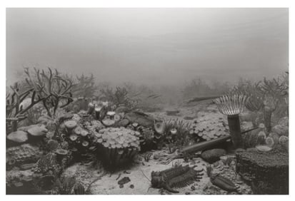 Hiroshi Sugimoto, Devonlan Period, 1992, Limited Edition Of 360