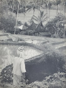 Henri Cartier Bresson, Sumatra, Indonesia, 1950 Rice Fields