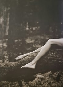 Mikael Jansen, Carolyn, Brandbergen, Sweden, 1995