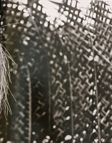 Zanele Muholi, Bhekani II, Mayotte, 2016