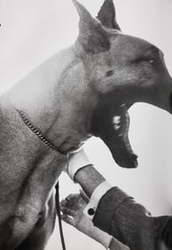 Richard Avedon, Bruno, New York studio, 1949