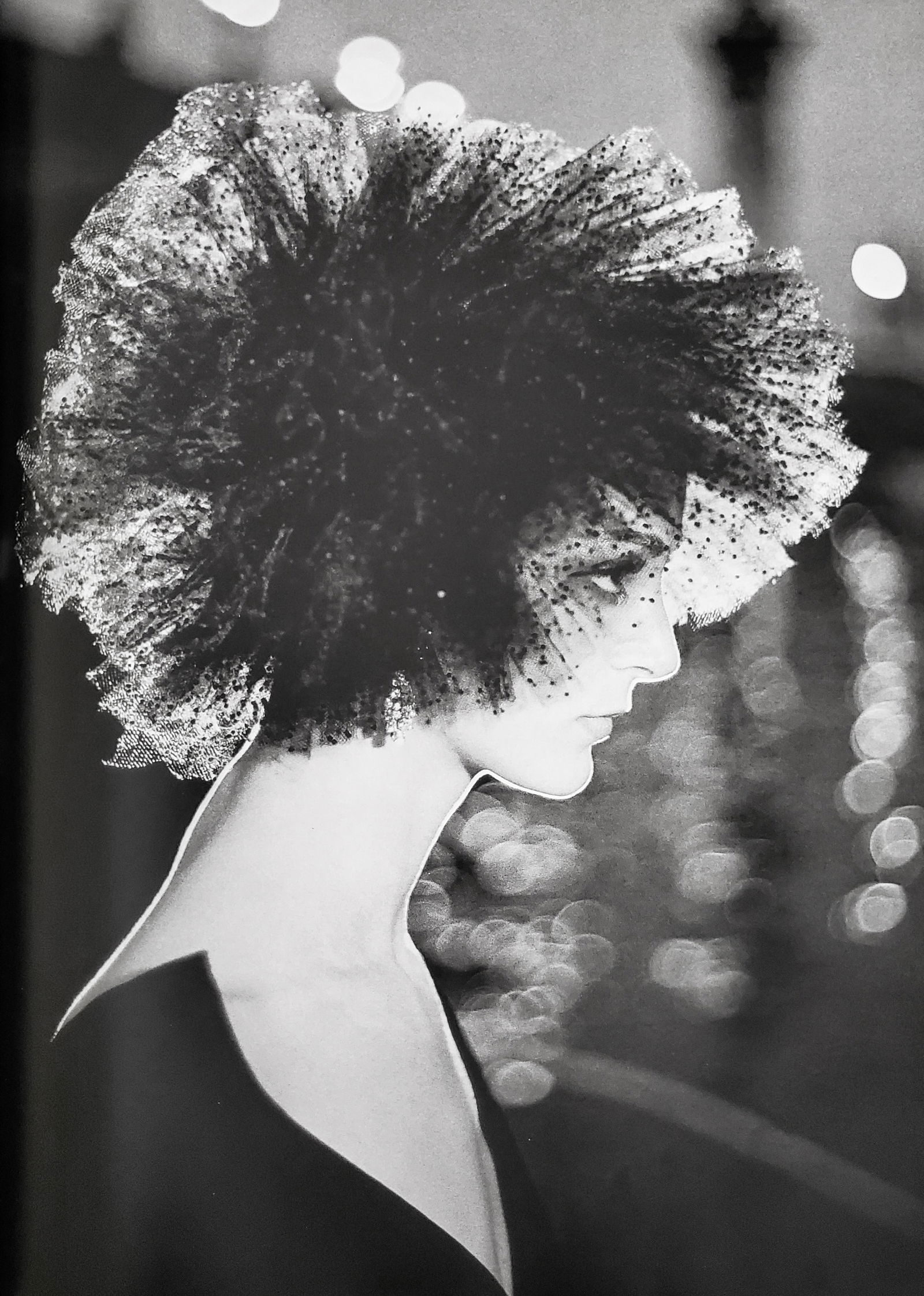 Richard Avedon, Carmen, Hat by Lanvin-Castillo, Pont Alexandre III, Paris, 1954: Photographer: Richard Avedon (American, 1923 - 2004) - internationally renowned portrait and fashion photographer, one of the most important and influential photographers during the last half of the t