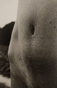 Pascal Baetens, 'Artistic Nude Women', 2010