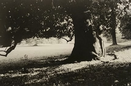 Pascal Baetens, 'Artistic Nude Women', 2010