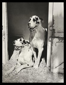 Bruce Weber, Untitled, 1988 - 10