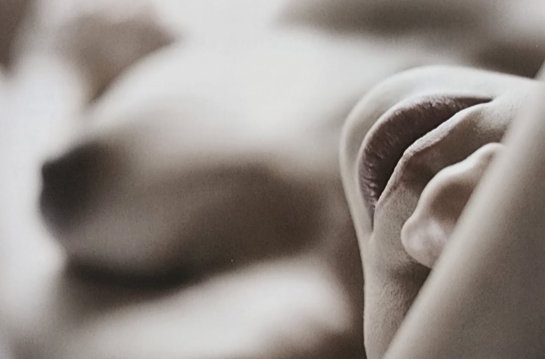 Yuciel Yalim, Alt Nudes, 2015: Artist: Yuciel Yalim Title: Alt Nudes Condition: Extra Fine - Excellent Publisher: Amherst Media Year: 2015 Approx. Size: 10x7.5 | 7x5 | 9.25x7 | 10x6.75 | 7.75x9.5 inches