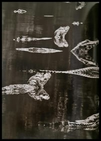 Sebastiao Salgado, Caimans, Brazil, 2011 - 1