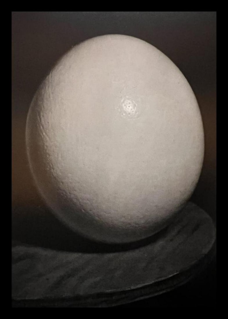 Man Ray, Ostrich Egg, 1944: Photographer: Man Ray (American born, 1890 - 1976) - Considered one of the most influential artists of the 20th century Man Ray lived most of his life in Paris, France. Best described as a modernist,
