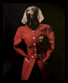 William Wegman, Courreges, 1994