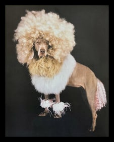 William Wegman, Lion King, 1999
