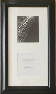 Hiroshi Sugimoto, 'Lightning Fields' I, With Hand Signed/Numbered Cutout: Description Photographer: Hiroshi Sugimoto is a contemporary Japanese photographer whose esoteric practice explores memory and time. Using the intrinsic quality of long exposure photography, the