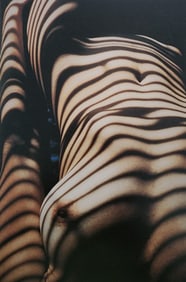 Best Female Nude Photography, 1850 - 2001