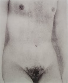 Best Female Nude Photography, 1850 - 2001