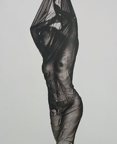 Best Female Nude Photography, 1850 - 2001