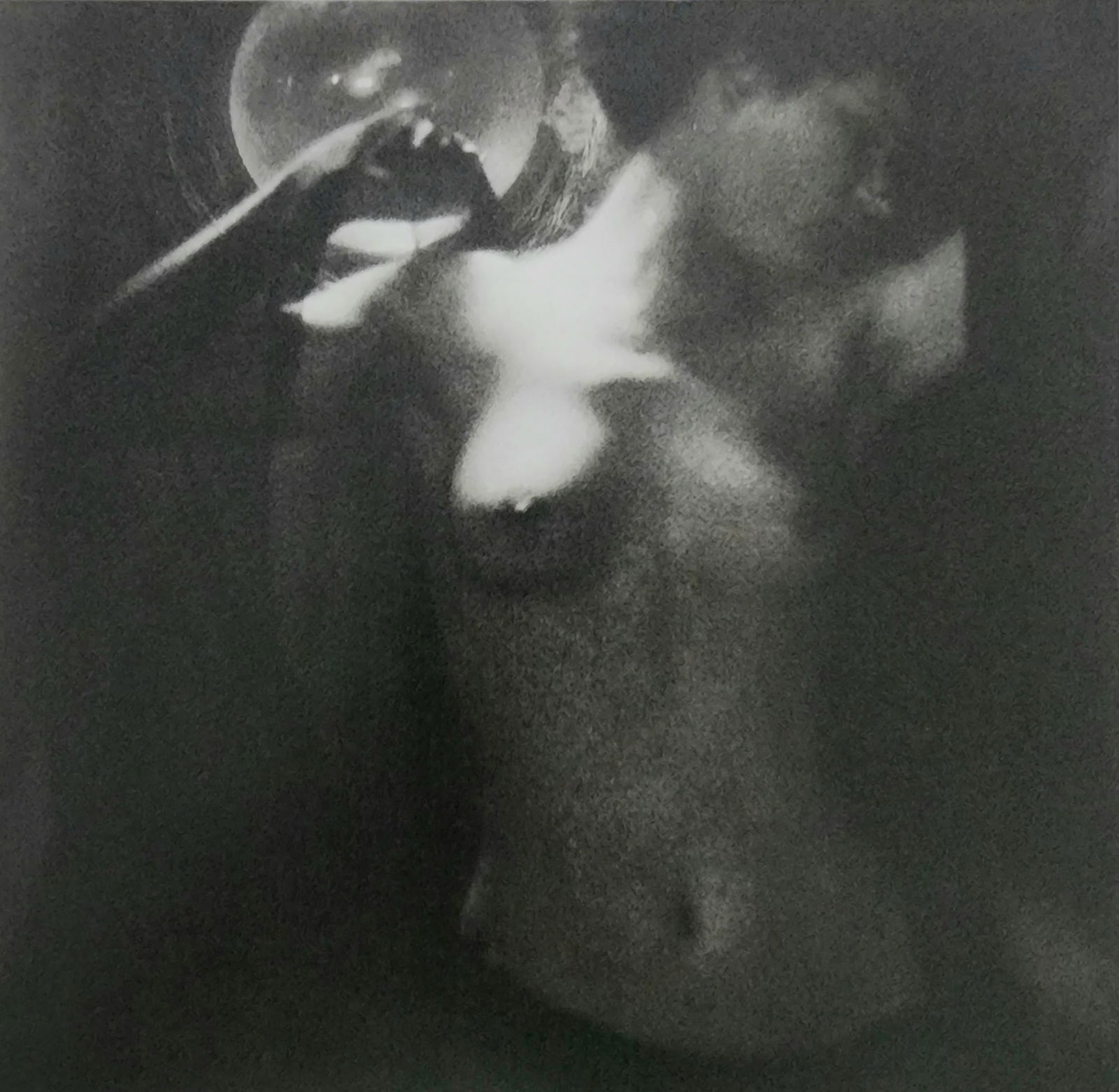 Best Female Nude Photography, 1850 - 2001: Artist/Photographer: Various photogrpher, include: Araki, Exe Arnold, Peter Beard, Bill Brandt, Brassai, Lucien Clergue, Horst P. Horst..... Title/Subject: Best female nudes photography 1850 to 2001 T