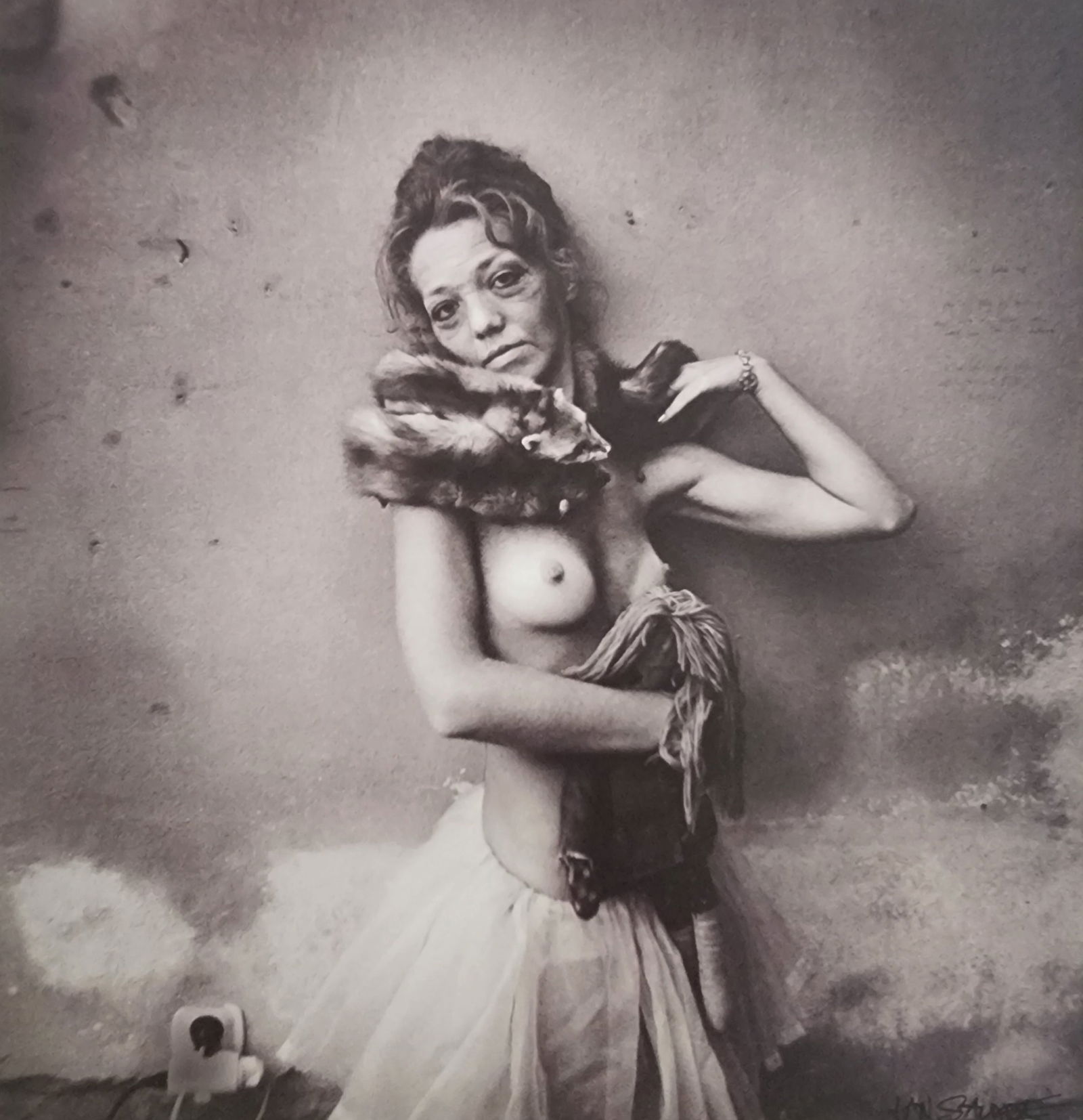 Best Female Nude Photography, 1850 - 2001: Artist/Photographer: Various photogrpher, include: Araki, Exe Arnold, Peter Beard, Bill Brandt, Brassai, Lucien Clergue, Horst P. Horst..... Title/Subject: Best female nudes photography 1850 to 2001 T