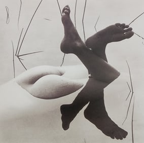 Best Female Nude Photography, 1850 - 2001
