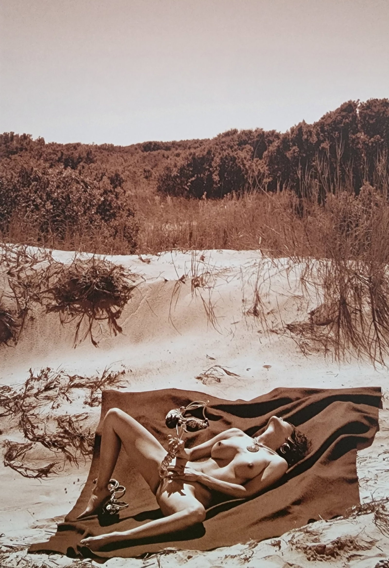 Dian Hanson, Sepia Nudes, 2016: Artist/Photographer: Dian Hanson Title/Subject: Sepia Nudes Type Of Print: Authentic Sheet Fed Photogravure/Heliogravure. Date Of Print: 2016 Paper: Medium weight, satin/matte finish. Print Origin: Sp