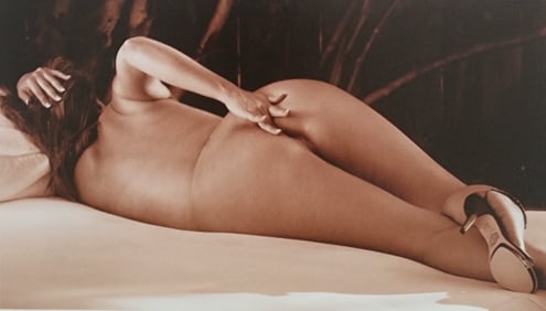 Dian Hanson, Sepia Nudes, 2016