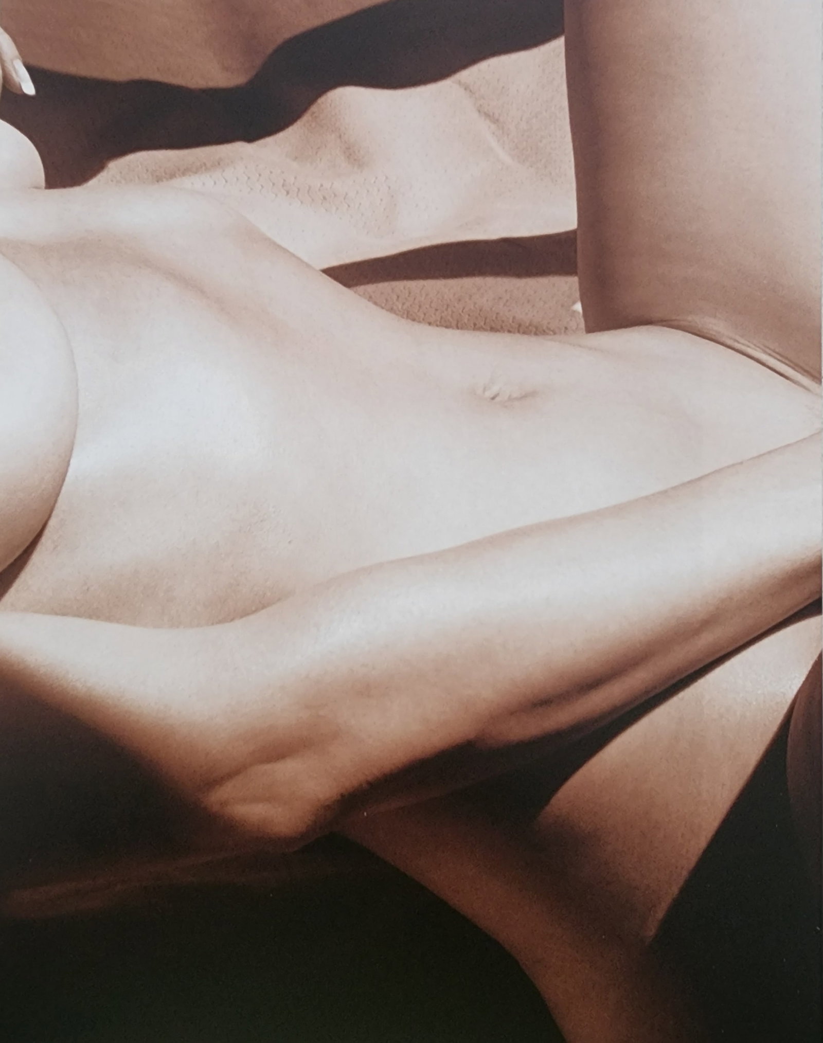Dian Hanson, Sepia Nudes, 2016: Artist/Photographer: Dian Hanson Title/Subject: Sepia Nudes Type Of Print: Authentic Sheet Fed Photogravure/Heliogravure. Date Of Print: 2016 Paper: Medium weight, satin/matte finish. Print Origin: Sp