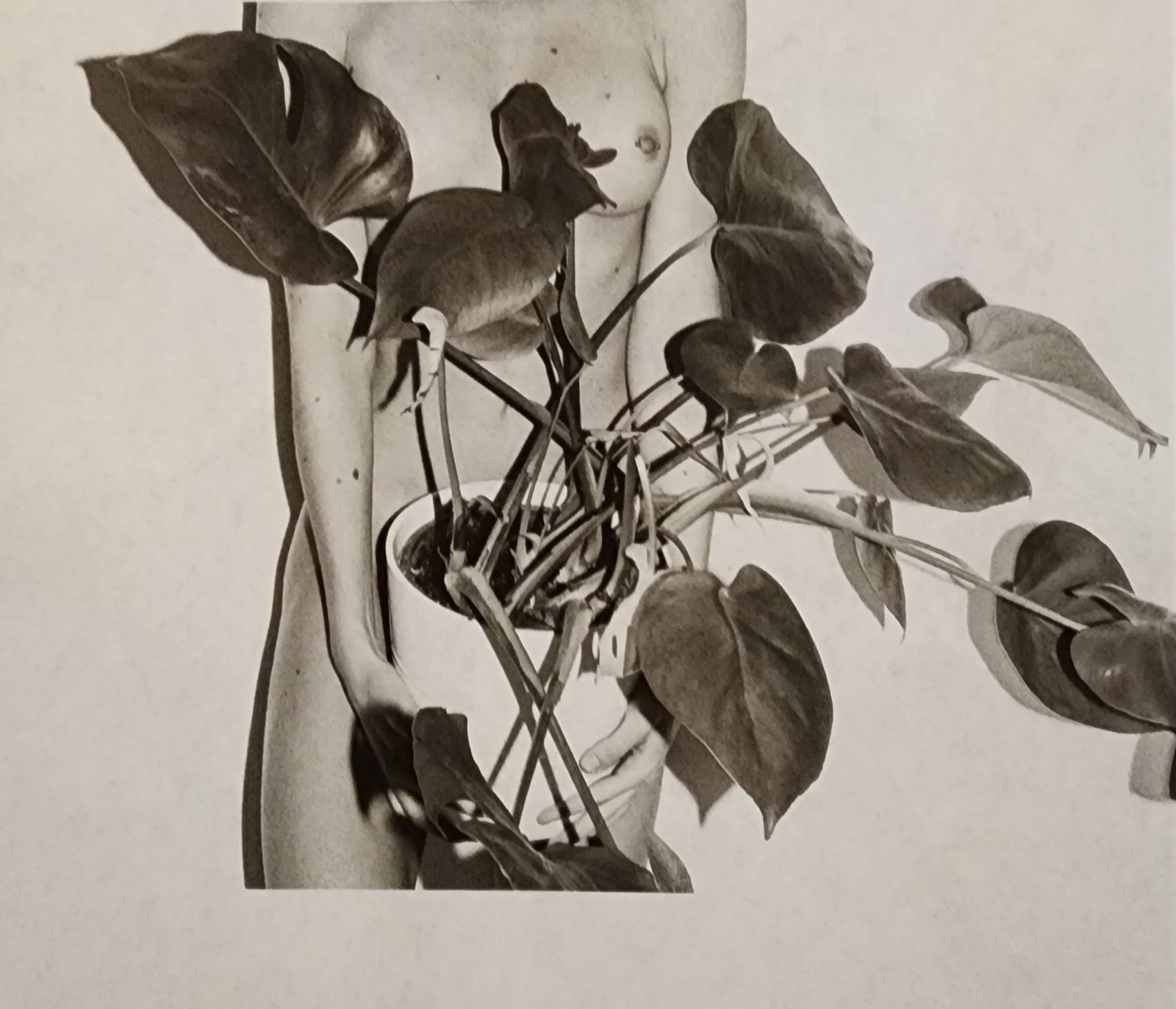 Leonardo Glauso, 'Bellissima', 2020: Artist/Photographer: Leonardo Glauso Title/Subject: Bellissima Type Of Print: Authentic Sheet Fed Photogravure/Heliogravure. Date Of Print: 2020 Paper: Medium weight, satin/matte finish. Print Origin: