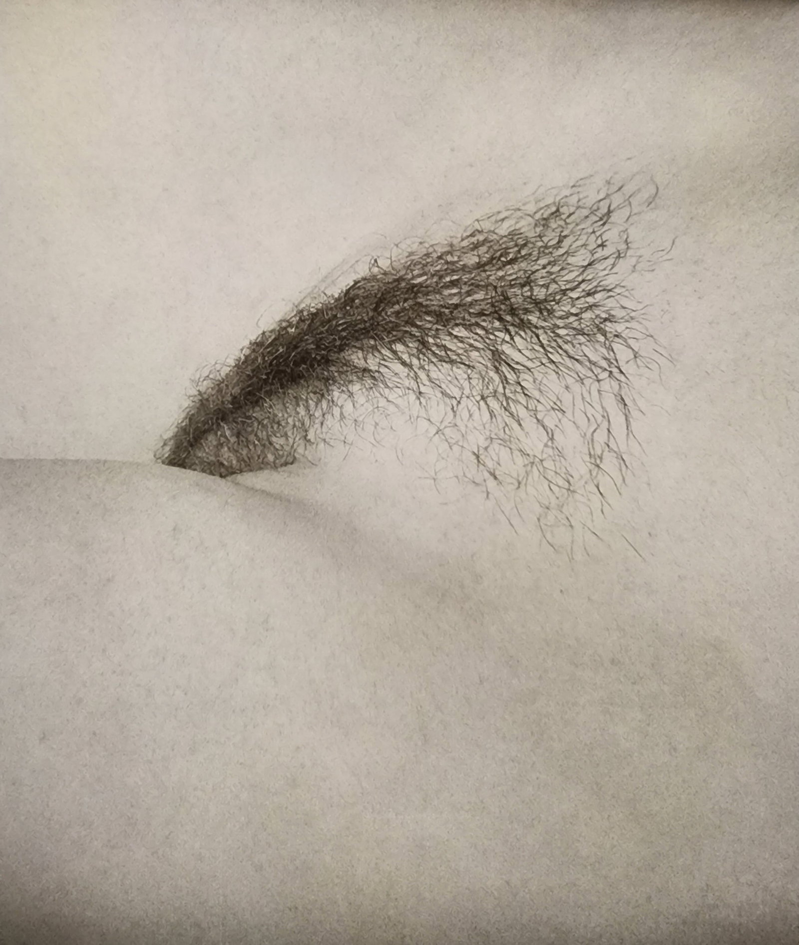 Leonardo Glauso, 'Bellissima', 2020: Artist/Photographer: Leonardo Glauso Title/Subject: Bellissima Type Of Print: Authentic Sheet Fed Photogravure/Heliogravure. Date Of Print: 2020 Paper: Medium weight, satin/matte finish. Print Origin: