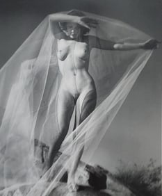 Andre de Dienes, Artistic Nude Studies, 2005