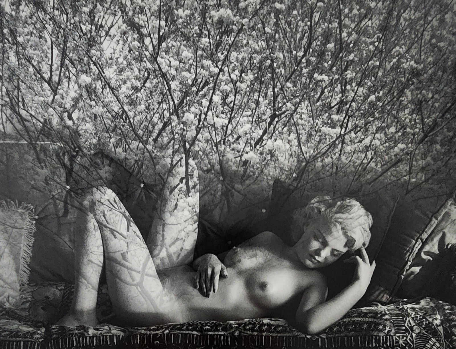 Andre de Dienes, Artistic Nude Studies, 2005: Artist/Photographer: Andre de Dienes Title/Subject: Nude Studies Type Of Print: Authentic Sheet Fed Photogravure/Heliogravure. Date Of Print: 2005 Paper: Medium weight, satin/matte finish. Print Origi