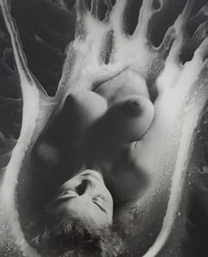 Andre de Dienes, Artistic Nude Studies, 2005