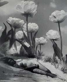 Andre de Dienes, Artistic Nude Studies, 2005