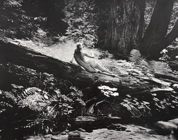 Wynn Bullock, Untitled, 1950's - 7