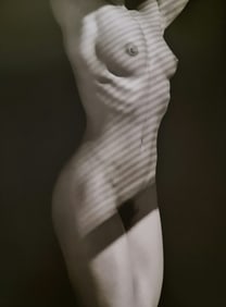 Robert Mapplethorpe, Vibert's Back, 1984