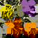 item-210517720=1