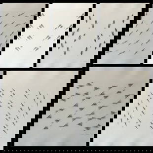 Tess Mistral Jaray Encounter Suite 5 Etchings Hand Signed & Numbered art: Artist: Tess Mistral Jaray Title: Encounter Suite Medium: 5 Etchings Signed: Each piece is Hand Signed Edition: matched numbered Measurements: each piece is 31" x 24" Condition: Very Good. There may b
