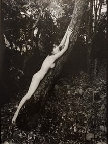 Hideki Fujii, Masterful Boudoir, 1992