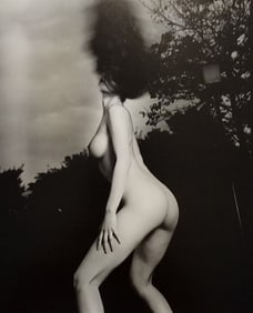 Hideki Fujii, Masterful Boudoir, 1992