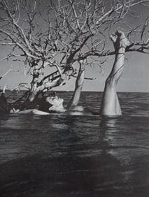 Andre de Dienes, Sun-Warmed Nude 1965