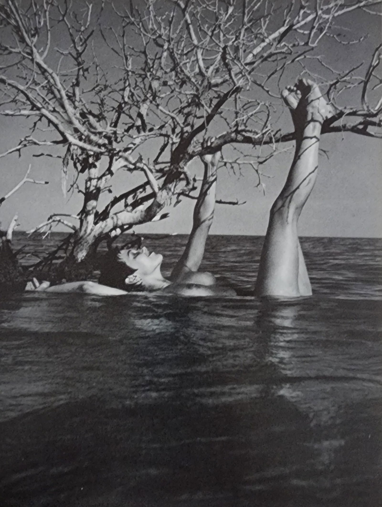 Andre de Dienes, Sun-Warmed Nude 1965: Artist/Photographer: Andre de Dienes Title/Subject: Sun-Warmed Nude Type Of Print: Authentic Sheet Fed Photogravure/Heliogravure. Date Of Print: 1965 Paper: Medium weight, satin/matte finish. Print Or