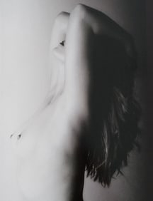 Lighting the Nude, 2010
