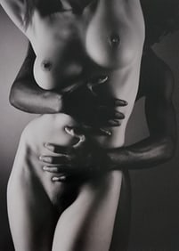Lighting the Nude, 2010