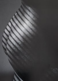 Lighting the Nude, 2010