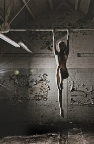 Lighting the Nude, 2010