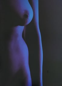 Lighting the Nude, 2010