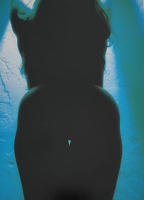 Lighting the Nude, 2010