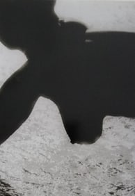 Lighting the Nude, 2010