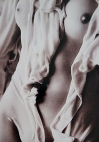 Lighting the Nude, 2010