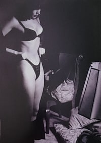 Lighting the Nude, 2010
