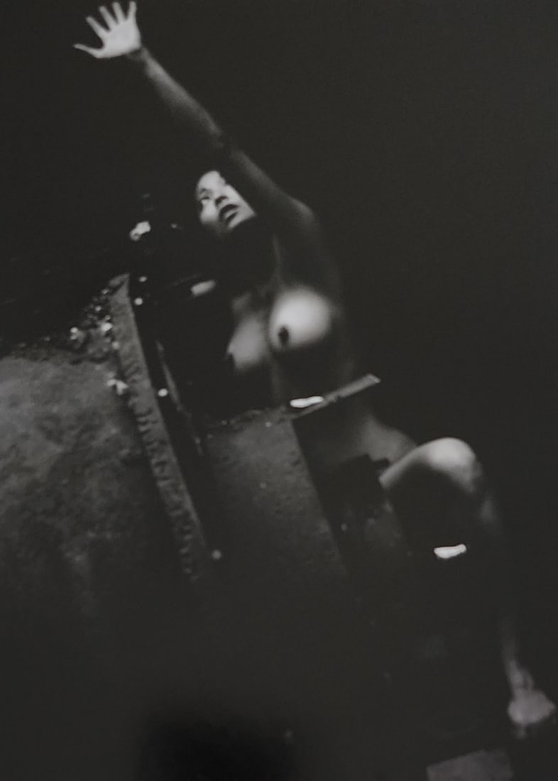 Lighting the Nude, 2010: Artist/Photographer: Various Photographers Title/Subject: Lighting the Nude Type Of Print: Authentic Sheet Fed Photogravure/Heliogravure. Date Of Print: 2010 Paper: Medium weight, satin/matte finish. 