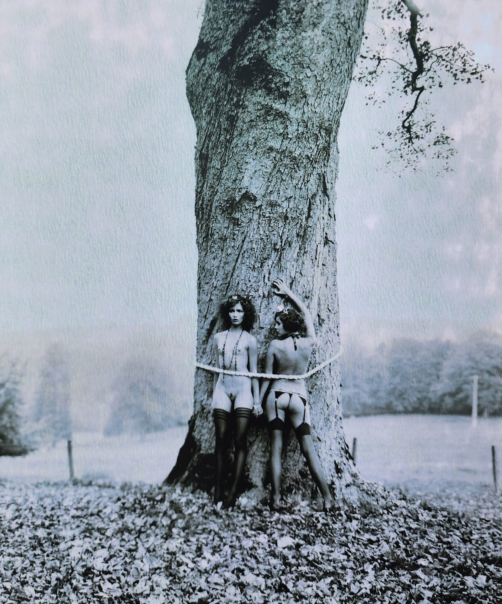 Marc Lagrange, Amazing Beauty 2008: Artist/Photographer: Marc Lagrange Title/Subject: Amazing Beauty Type Of Print: Authentic Sheet Fed Photogravure/Heliogravure. Date Of Print: 2008 Paper: Medium weight, satin/matte finish. Print Origi